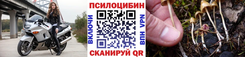 Псилоцибиновые грибы Psilocybe  Купить закладки  Тобольск 